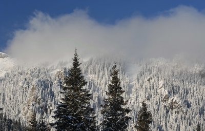 Winter Scenes_25.jpg
