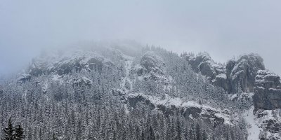 Winter Scenes_27.jpg