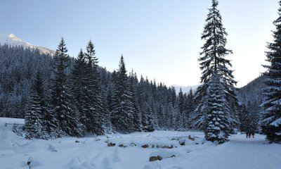 Winter Scenes_37.jpg