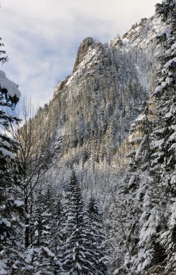 Winter Scenes_38.jpg