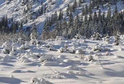 Winter Scenes_46.jpg