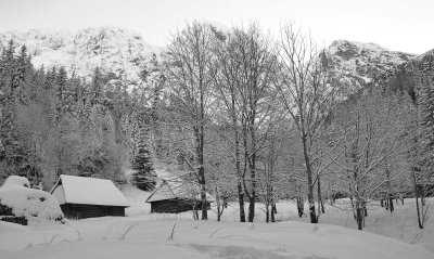 Winter Scenes_51.jpg