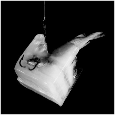 Cube 6
