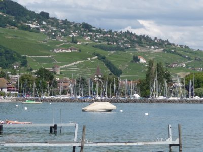 Lutry's port and wine fields