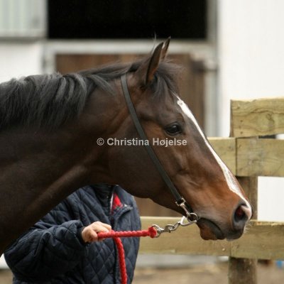0140b.jpg (William Tell)