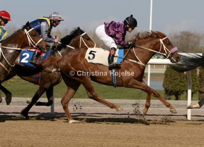 1179b.jpg (Toblerina)