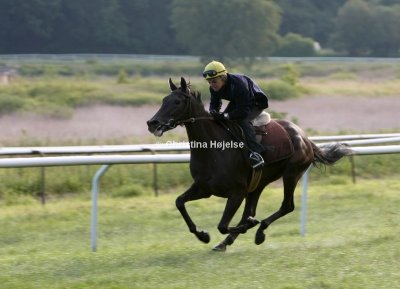 Klampenborg 2009-06-22 (Derbygalop)