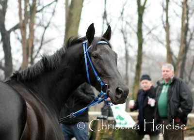 0493f.jpg (Finn Ind Again)