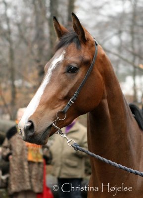 0518f.jpg (Madamme Esprit)
