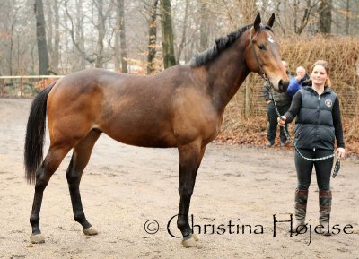 0560f.jpg (Cantenac)