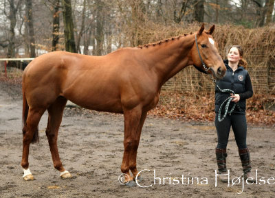 0667f.jpg (Greco Tom)