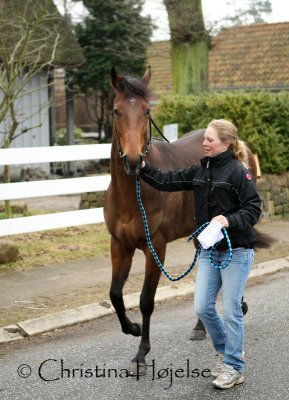 Klampenborg 2010-04-05 (Staldrundgang)