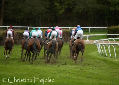 6540f.jpg (Copenhagen Post Stakes)