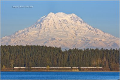 Starlight under Rainier