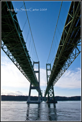 Tacoma Narrows Bridges From Below
