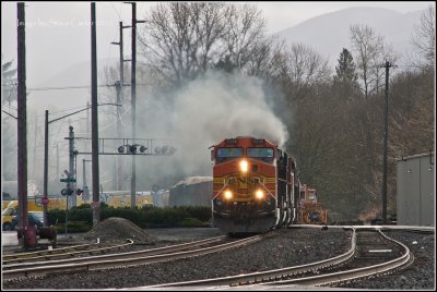 Smokey SPOEVE in Monroe, WA