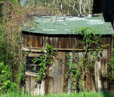 old barn