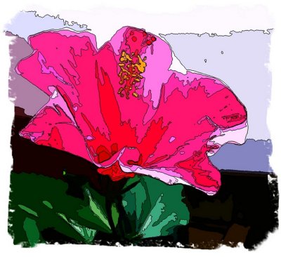 hibiscus slk.jpg
