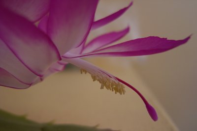 R0011846.jpg