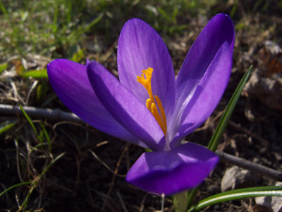 R0012544_1.jpg