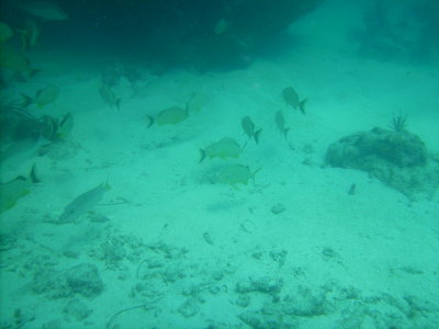 PICT0021.JPG