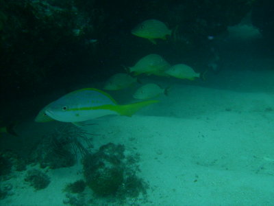 PICT0022.JPG