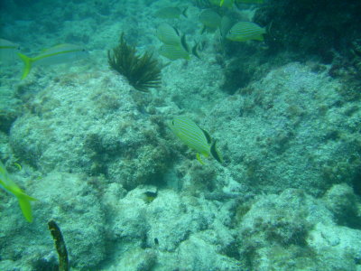 PICT0027.JPG