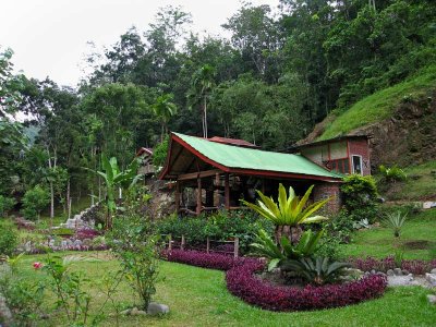 Guest house, Bukit Lawang