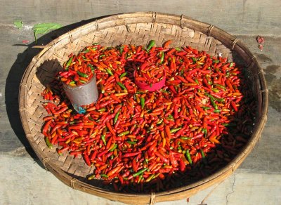 Chillies