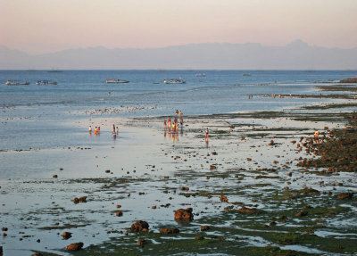 Low tide