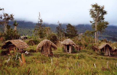 Pig huts