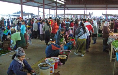 Early morning Hmong market