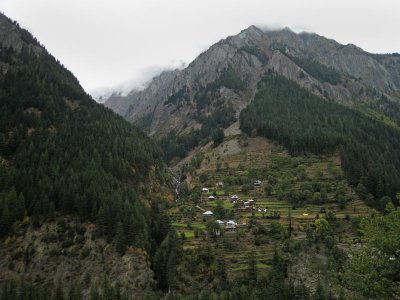 Village, Pangi