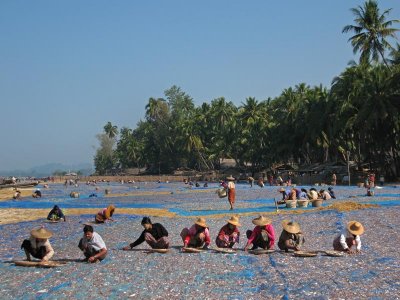 Drying fish