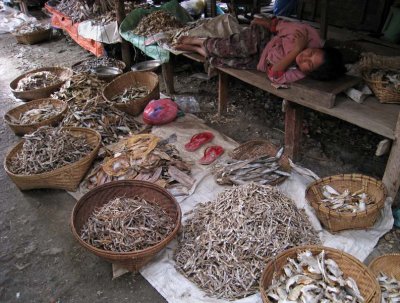 Dried fish, Mrauk U market