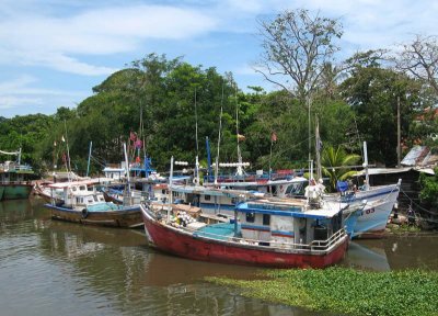 Boats, Negombo