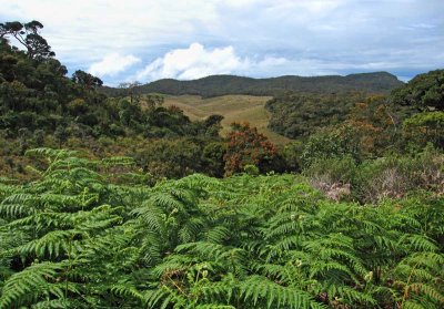 Horton Plains