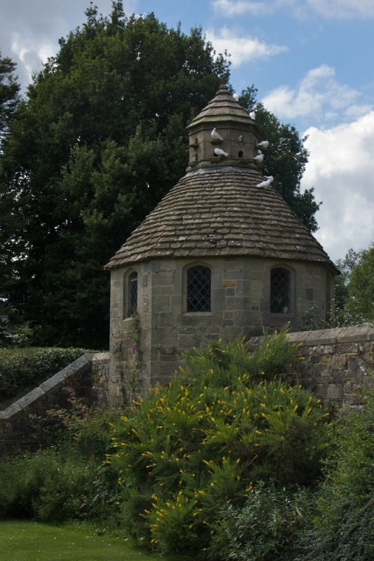 Dove cote