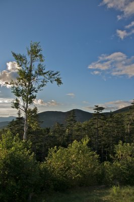 Evening on the Kancamagus