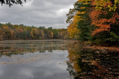 A fall day at Beebe pond