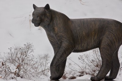 Tiger by Gwynn Murrill