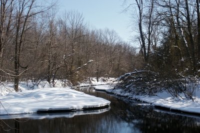 Bend in the Sudbury river