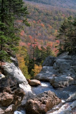 Near the Glenn Ellis falls