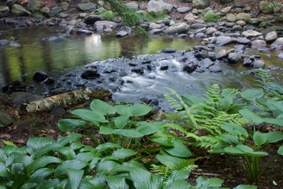 Small cascade