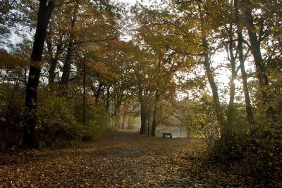 A walk in Simpson Park