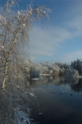Sudbury river #1