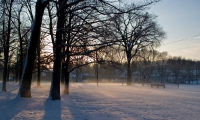 Misty morning in Butterworth park