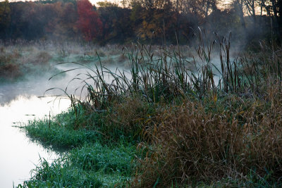 Mist at the waters edge