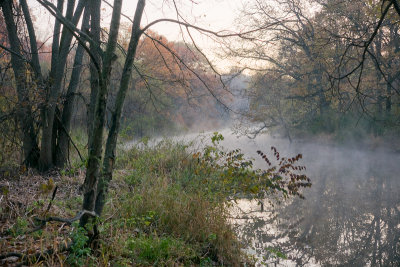 Misty riverbank