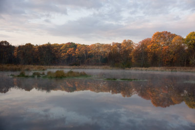 Near the Sudbury road